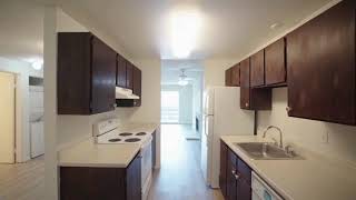 2 Bed 1 Bath Standard l Maples Apartments l 700 Sq Ft
