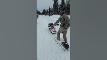 -=SNOWHOUND=-  #diy #custom #shorts #snowmobile #speed #snowboarding