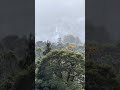 Moments from New Zealand