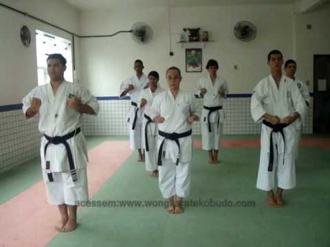 Wong Karate-Do, Shorin-Ryu SHIN SHU KAN