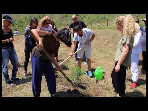 ბორჯომის ნახანძრალი ტყის აღდგენა შემოდგომიდან დაიწყება