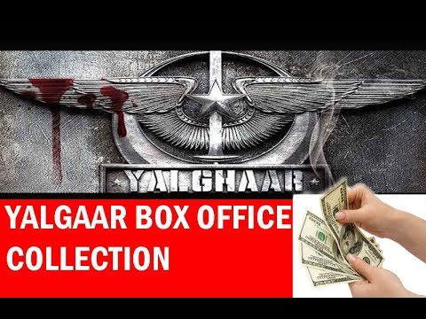 pakistani-new-movie-yalgaar-box-office-collection-yalgaar-movie