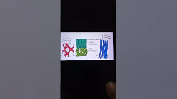 Types Of Parenchyma Tamil 