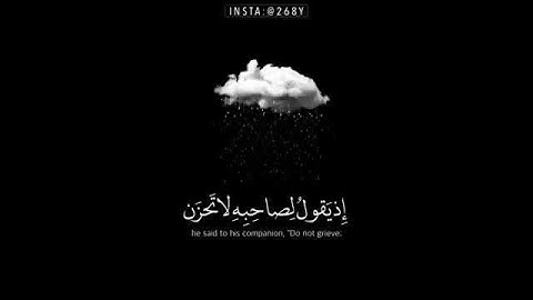 القارئ | وديع اليمني