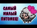 Don't Starve Together (SOLO) #44 - Самый милый пет!