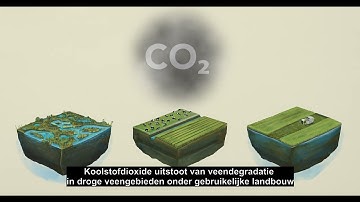De rol van methaan in veengebieden.