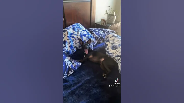She needs to get a job