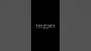 اكتب شيء تؤجر عليه 😊💗القرآن الكريم شاشة سوداء #المصحف #اكسبلور #راحة_نفسية #الرحمن