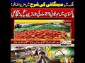 Further Increase In Inflation Rate In The Country! l News Updates l Rohi