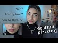 septum piercing: 2 week update // healing time, experience, pain, how to flip