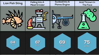 Human Pain Probability Comparison Part 2 1080p