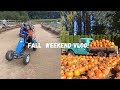 FALL WEEKEND IN MY LIFE:  work, market, farm, family + more