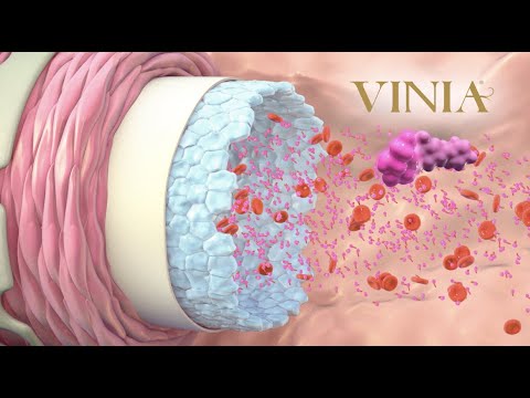 The Science behind how VINIA® works inside your body