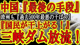 【気づけ日本人！世界で大干ばつ進行中！世界同時食糧不足クル！】欧州『過去５００年で最も最悪の大干ばつだ！』中国『最後の手段、三峡ダムの放流だ！』ロシア・ウクライナ戦争に世界的大干ばつが重なったらどうな