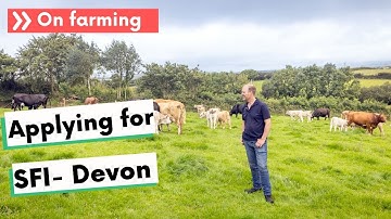 How I’m getting ready for SFI – Ian, beef and sheep farmer, Devon