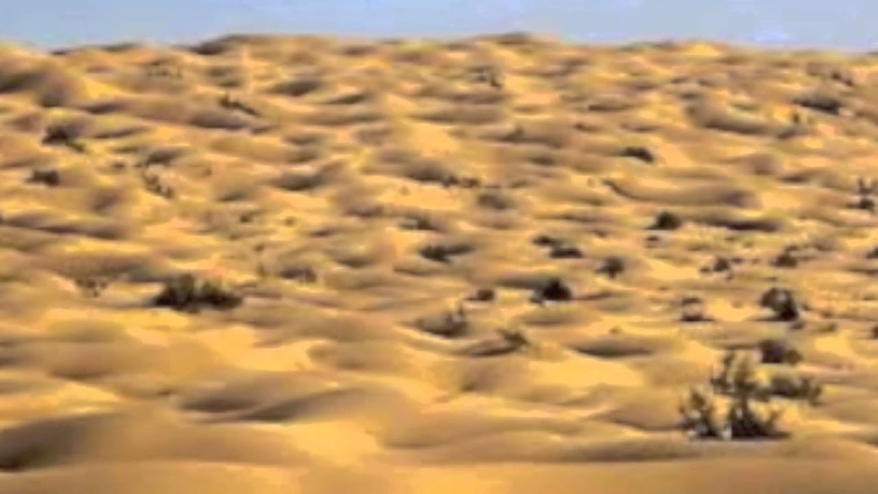 Where are the tropical deserts 50 Where are the tropical deserts 19