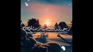 حالات واتس اب تلاوة خاشعة🎧 القارئ وديع اليمني 💙