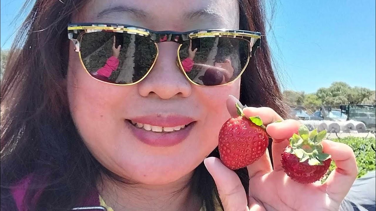 strawberry picking perth season YouTube