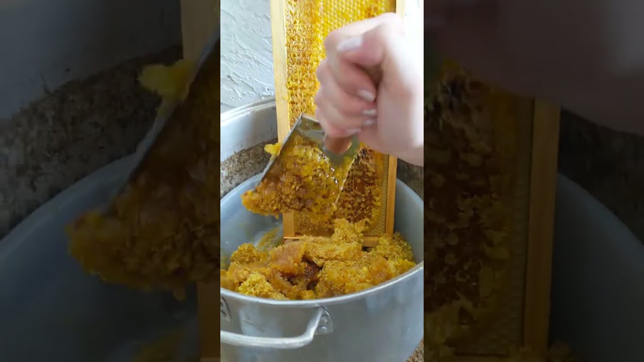 Scraping Honeycomb pt 1