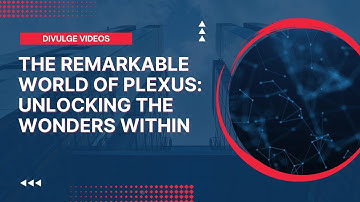 The Remarkable World of Plexus: Unlocking the Wonders Within