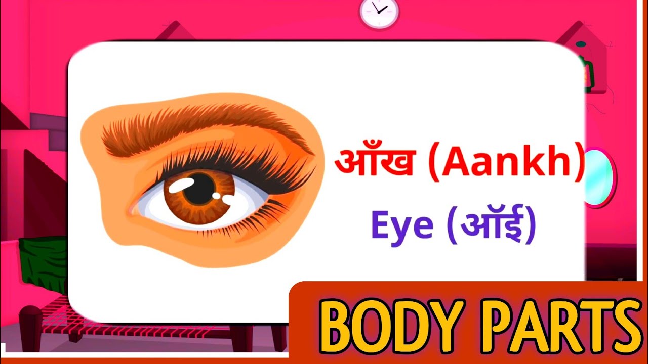 Parts of the Body | Parts of the Body for LKG Kids | Learn Body Parts & Sense Organs | #bodyparts