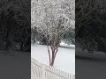 Amrica #whether #amricantiktok #travelvlog #travel #snowfall #snow #ytstudioes