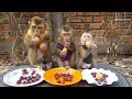 Cute Monkey Very Surprise (Dodo, Donal And Moly) Eating Grapes, Orange And Banana For Dinner