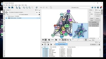 Network Analysis using Cytoscape