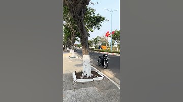 Đất bán Mặt tiền Nguyễn Văn Linh . Phước Hải , Đất Đỏ , Bà Rịa Vũng Tàu