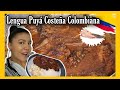 LENGUA PUYÁ COSTEÑA COLOMBIANA EN SALSA DE COCA-COLA / Cocina Con Nelu