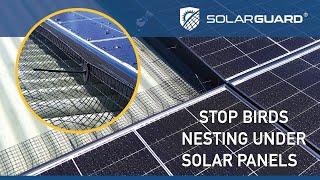 Solargaurd Solar Panel Protection - simple guide to deter birds and rodents away from solar panels