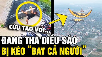 Khi diều sáo sử dụng 