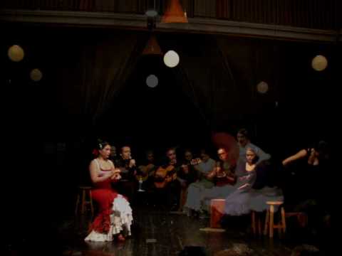 Ol Ol Flamenco Xalapa