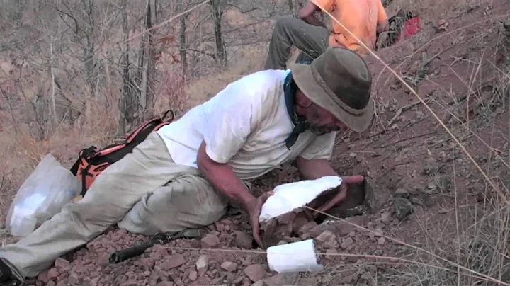 Science at FMNH - African Paleontology
