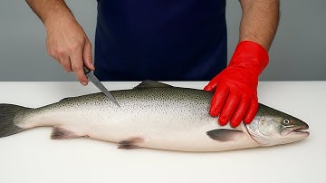 🐟🔥 4 Salmon, 2 Minutes – Unbelievable Cutting Speed! | Filleting Salmon Like a PRO