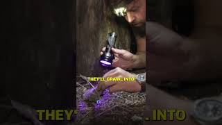 This Is One of India's Deadliest Animals