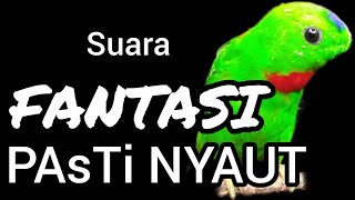 SUARA BURUNG serindit gacor FANTASI buat PANCINGAN SERINDIT agar EMOSI NYAUT screenshot 5