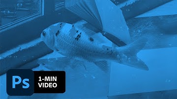 How to Make a Dreamy Composite in Photoshop | Adobe Creative Cloud