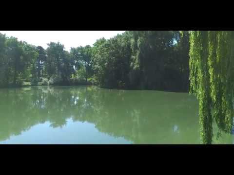 тернопільщина яблунів Панський парк і маєток 