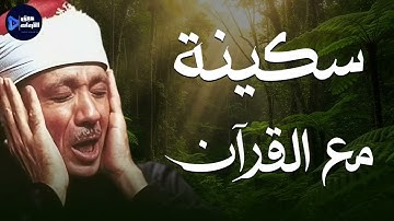 سكينة مع القرآن وأداء يدخل القلب بلا استئذان… من روائع تلاوات الشيخ عبدالباسط عبدالصمد