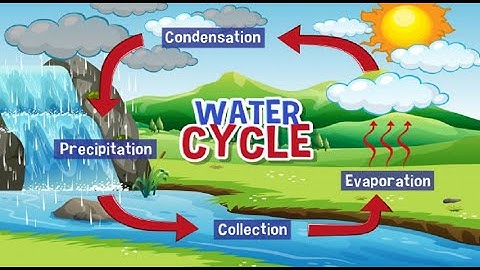 21 - كونكت بلس ثالثه ابتدائى ترم اول   Connect Plus G 3 Unit 5 All about water lesson 2