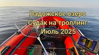 :      /  /2025