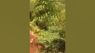 Ajali iliyotokea ya wanafunzi mkoa Arusha 2017