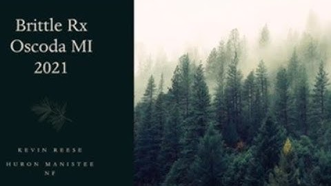 2022 MI PFC & Burning Issues Workshop Day Two Recording