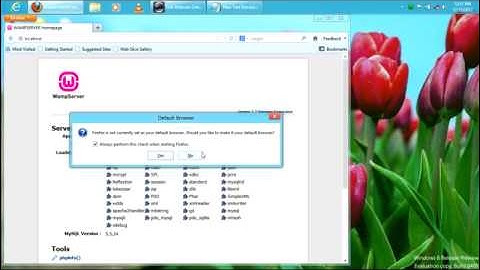 404 forbidden error solve wamp server on Windows 8