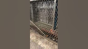 ZHUOMAO YOUPIN® gabion basket