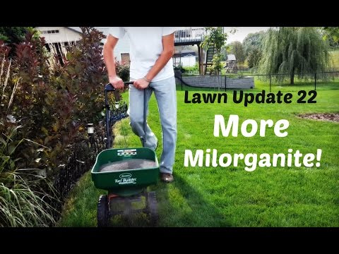 Lawn Update 22 - Backyard Update - More Milorganite! - YouTube