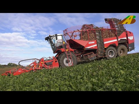 Vollernter GRIMME Rexor