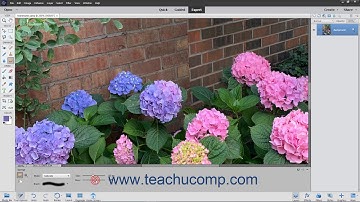 Photoshop Elements 2021 Tutorial The Sponge Tool Adobe Training