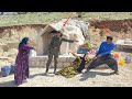 Can the presence of the police end the conflict between a nomadic wife and husband?